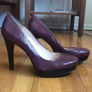 Calvin Klein Berry Snakeskin Platform Pumps